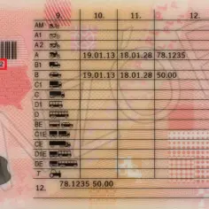 Na prawie jazdy, w polu 10. widnieje data wydania: 19.01.13.