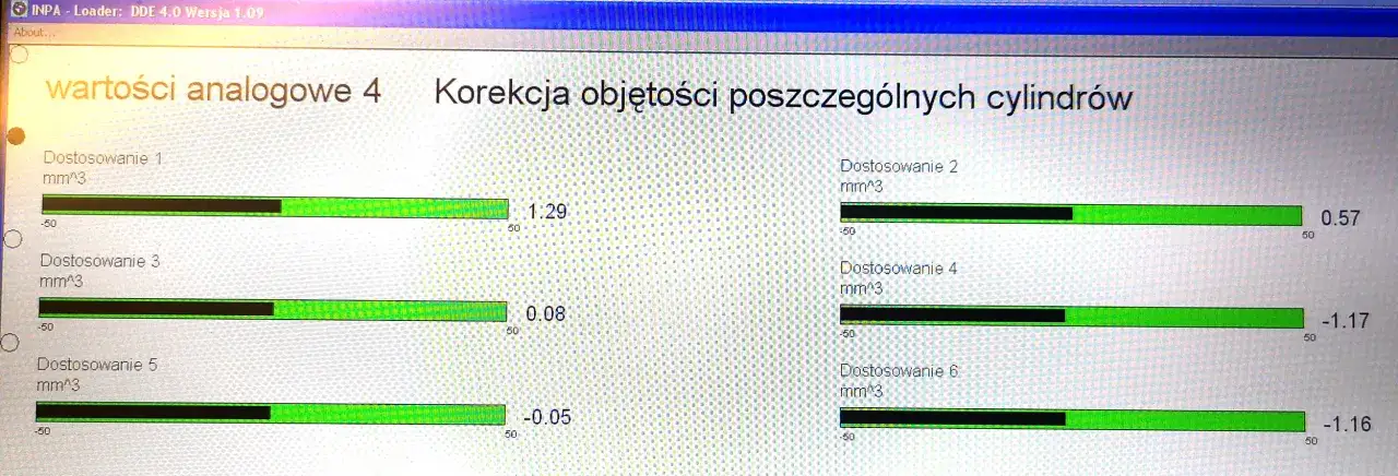 Ekran diagnostyczny INPA pokazuje dopuszczalne korekty wtryskiwaczy dla każdego cylindra. Wartości wskazują odchylenia od normy.