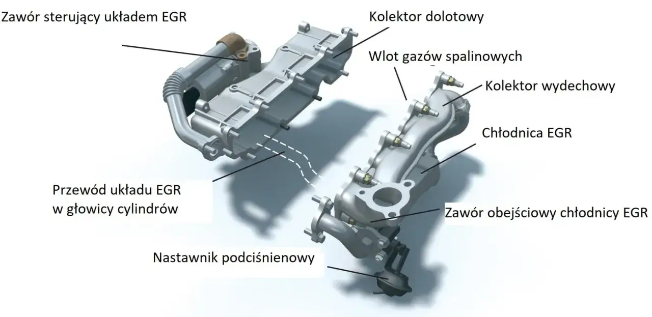 Schemat układu EGR: kolektor dolotowy, wylot spalin, chłodnica i zawór sterujący.