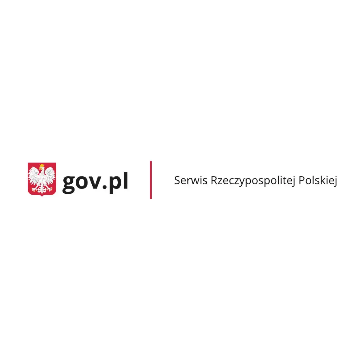 Zdjęcie Ile zdjęć potrzeba do prawa jazdy? Sprawdź, co musisz wiedzieć